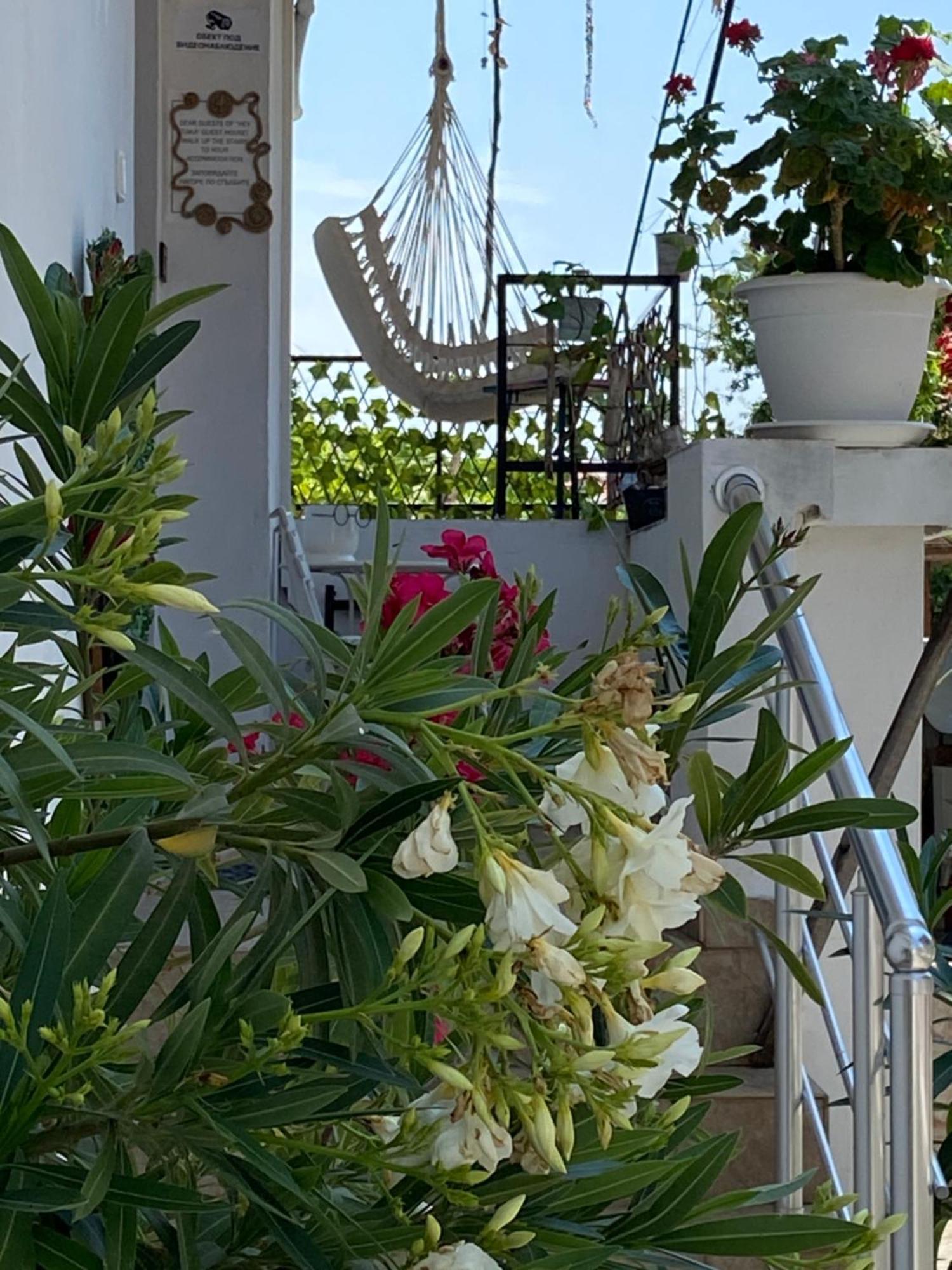 Guest House Hei Taka سوزوبول المظهر الخارجي الصورة